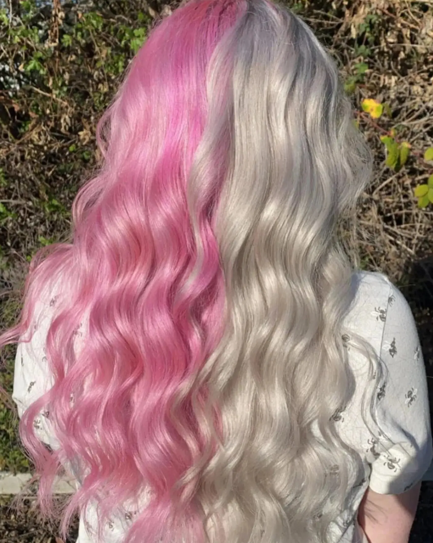 65 Candy Floss