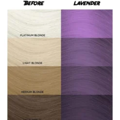 54 Lavender