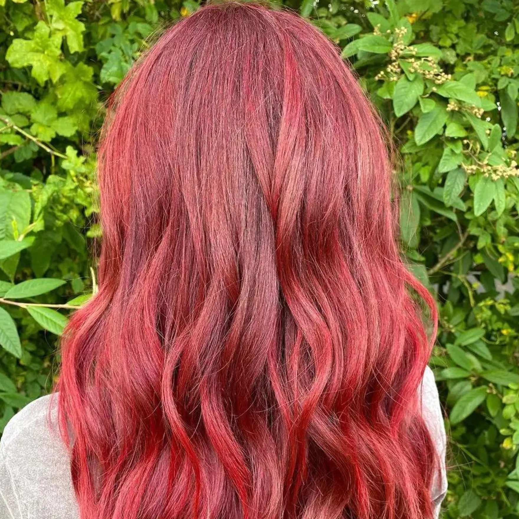 66 Ruby Rouge