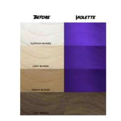 43 Violette