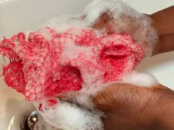 African Net Sponge Sapo Peach