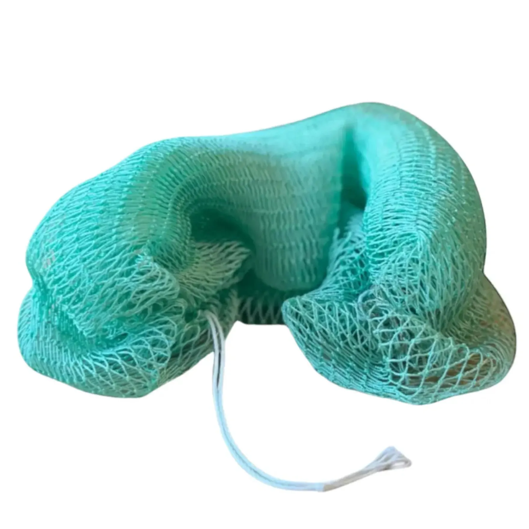 African Net Sponge Sapo Turquoise
