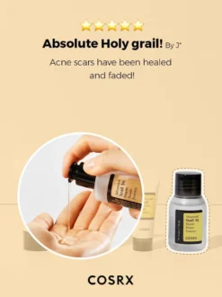 All About Advanced Snail Kit