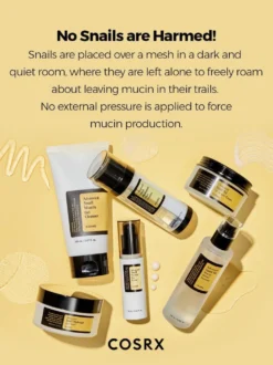 All About Advanced Snail Kit
