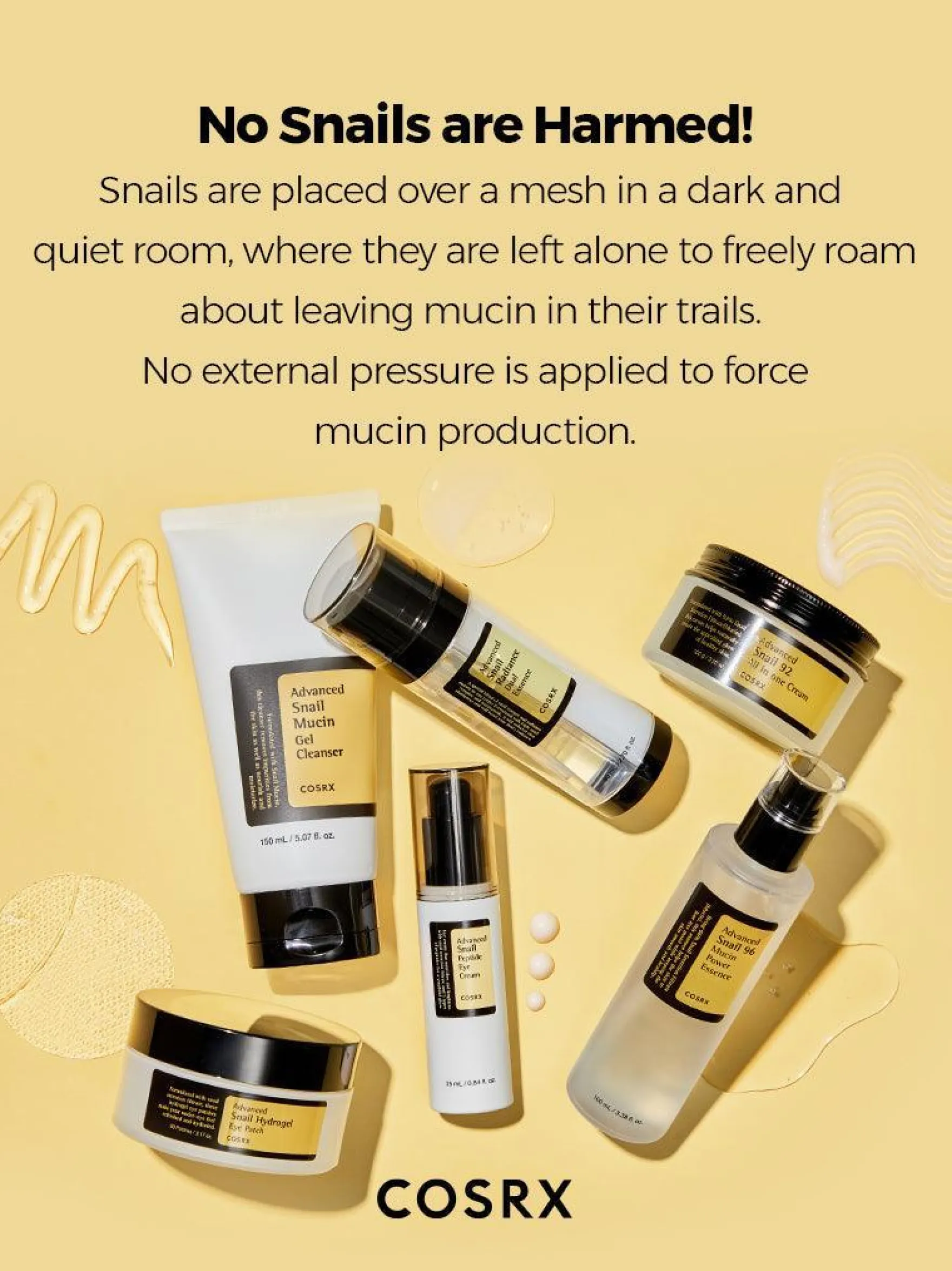 All About Advanced Snail Kit