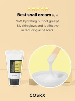 All About Advanced Snail Kit