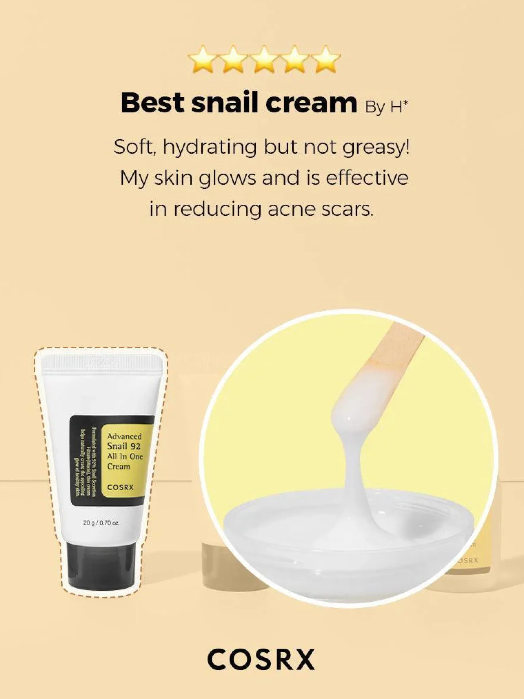 All About Advanced Snail Kit