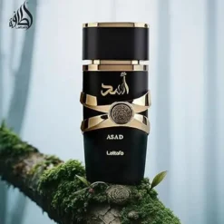 Asad Eau de Parfum