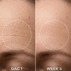 Barrier Restore Night Cream