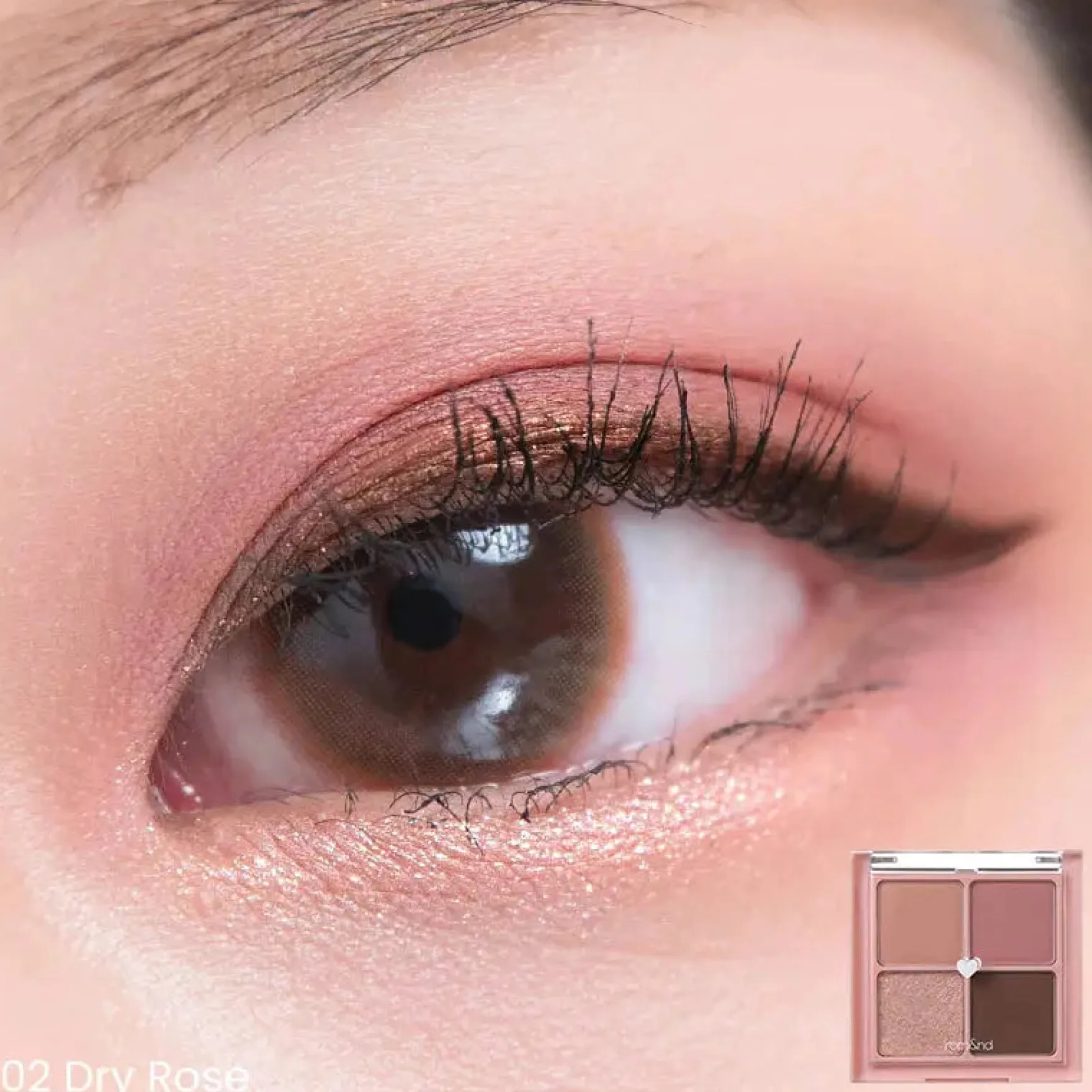 Better Than Eyes 02 Dry Rose