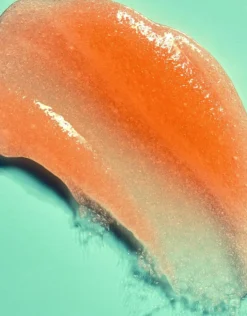 Bikini Reef Shea Sugar Scrub