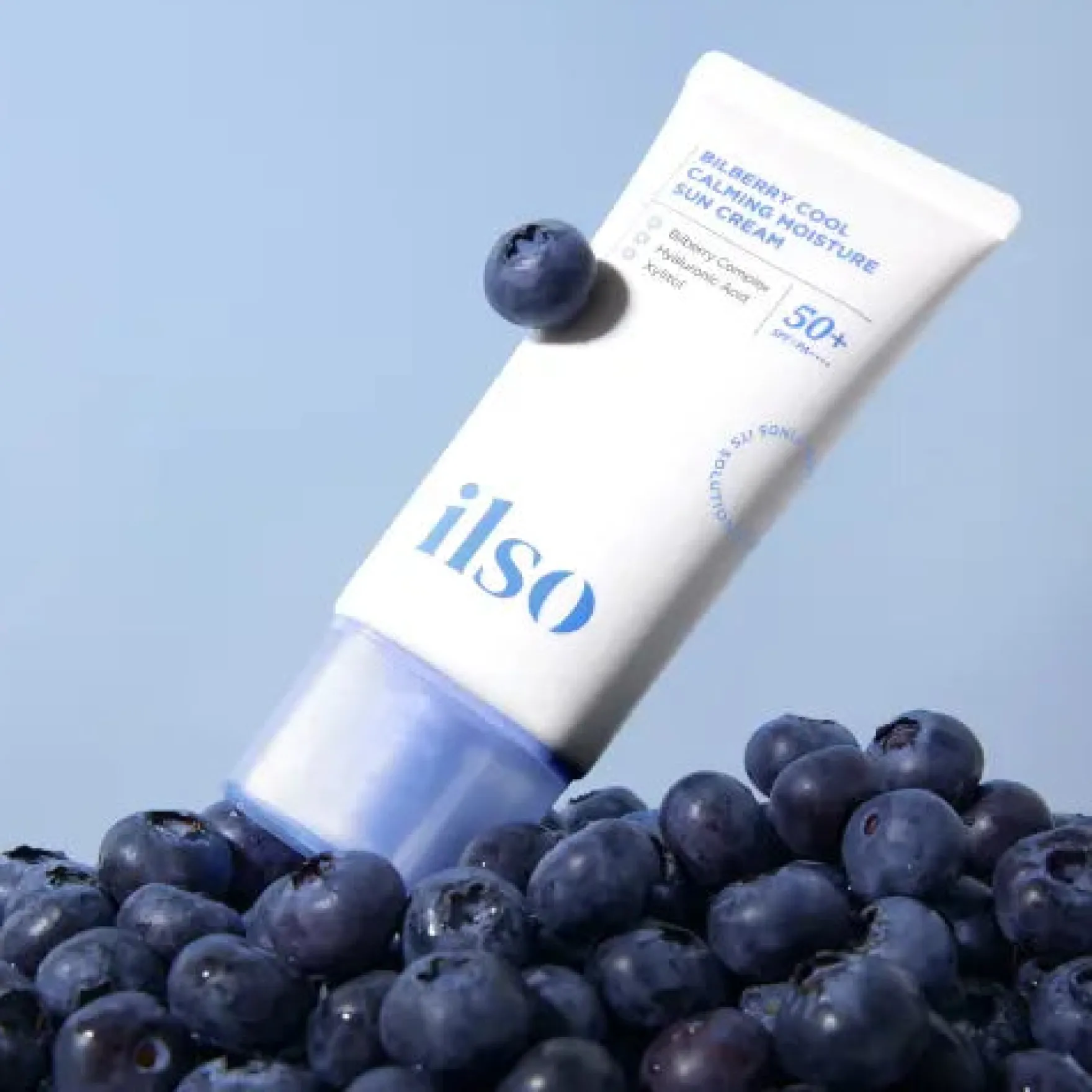 Bilberry Cool Calming Moisture Sun Cream