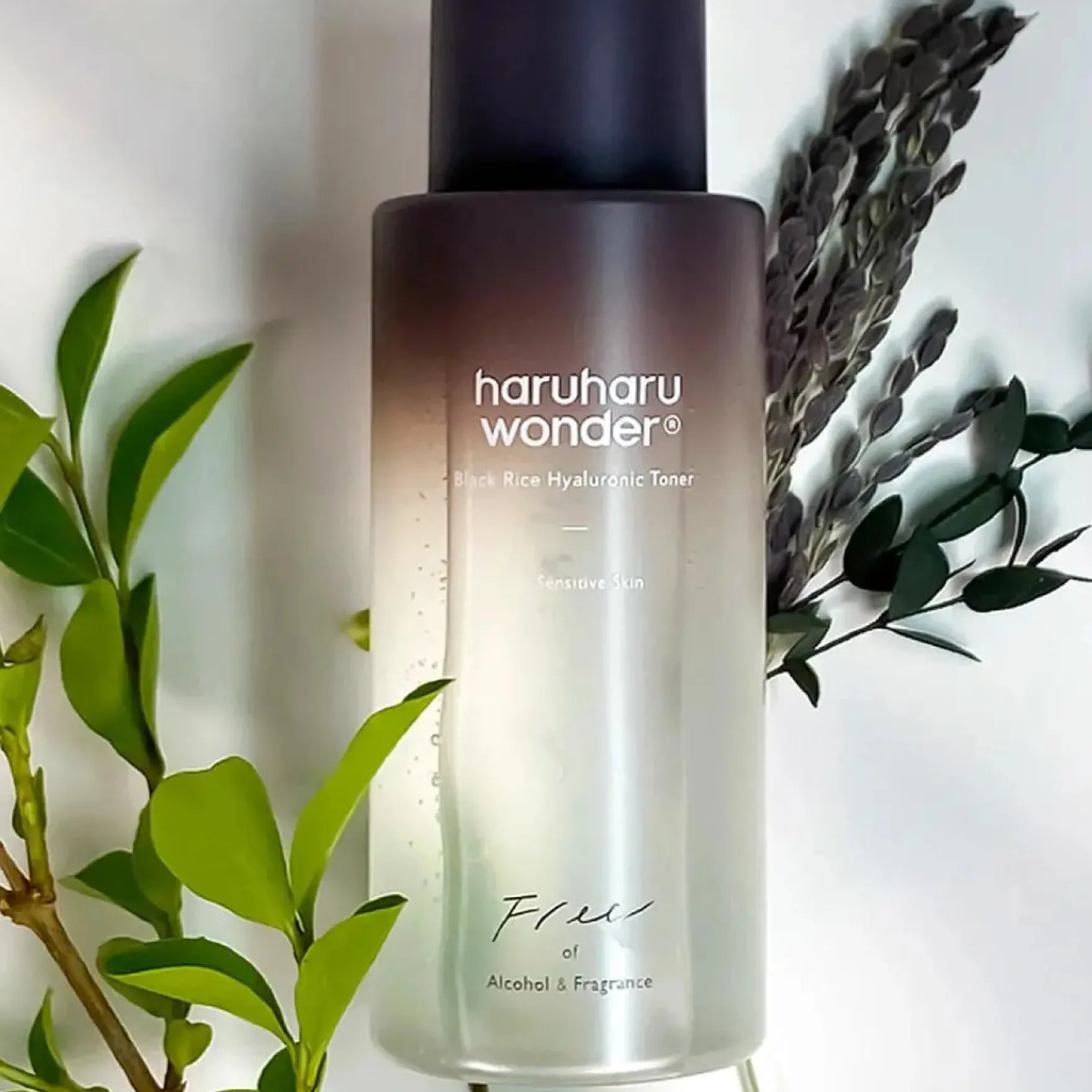 Black Rice Hyaluronic Toner Fragrance Free 30 ml.
