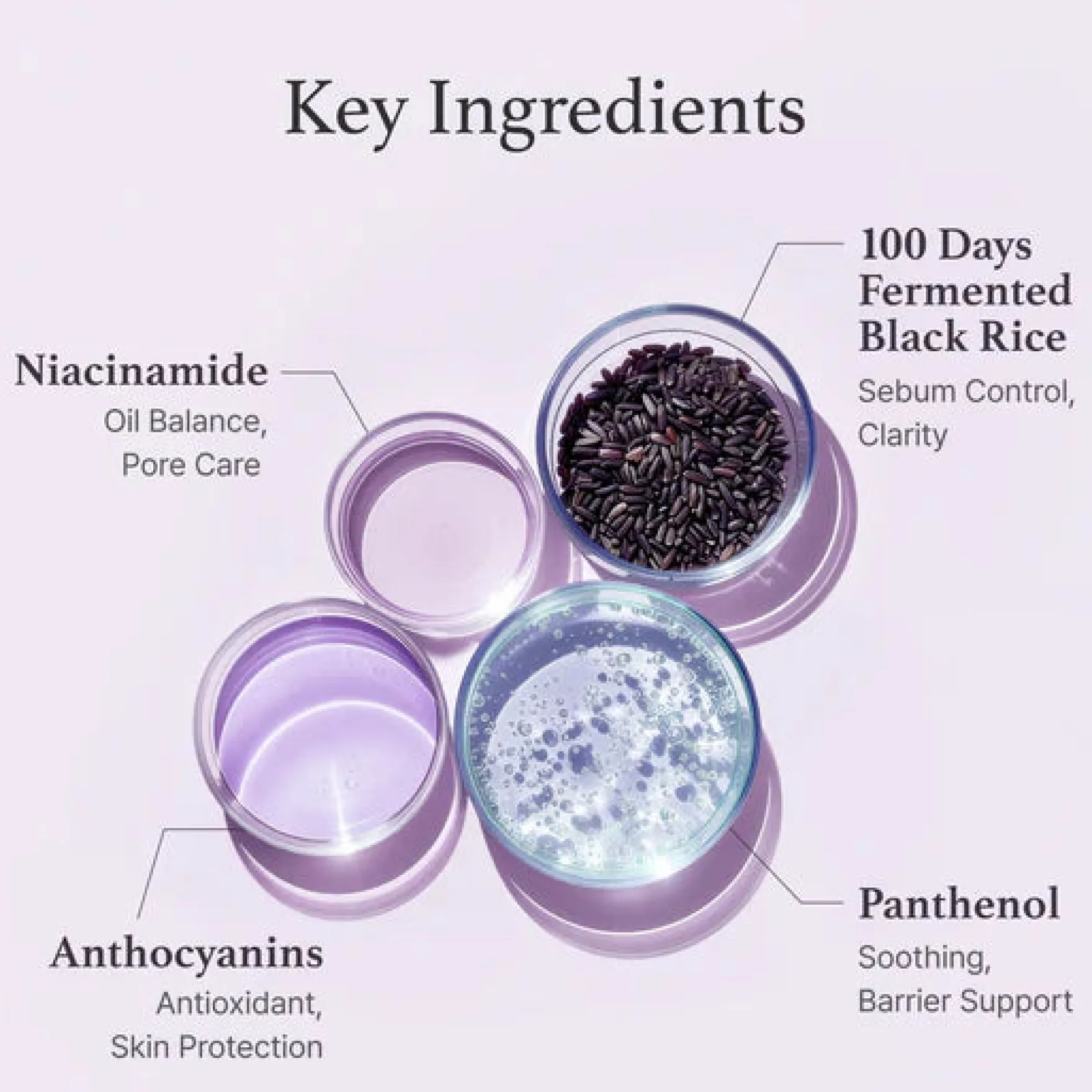 Black Rice Toner 30 ml.