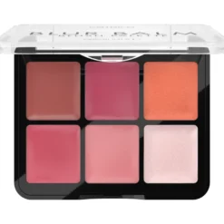 Blur Balm Blush Palette 010 Blush Blindness