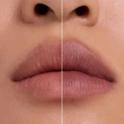 Blur Real Lip Powder Cream 020 Blushed Reality