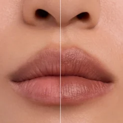 Blur Real Lip Powder Cream 010 Teddy Hug