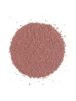 Blush Satin Rose