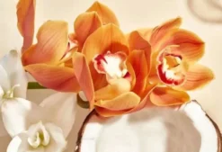 Body Lotion Wild Orchid