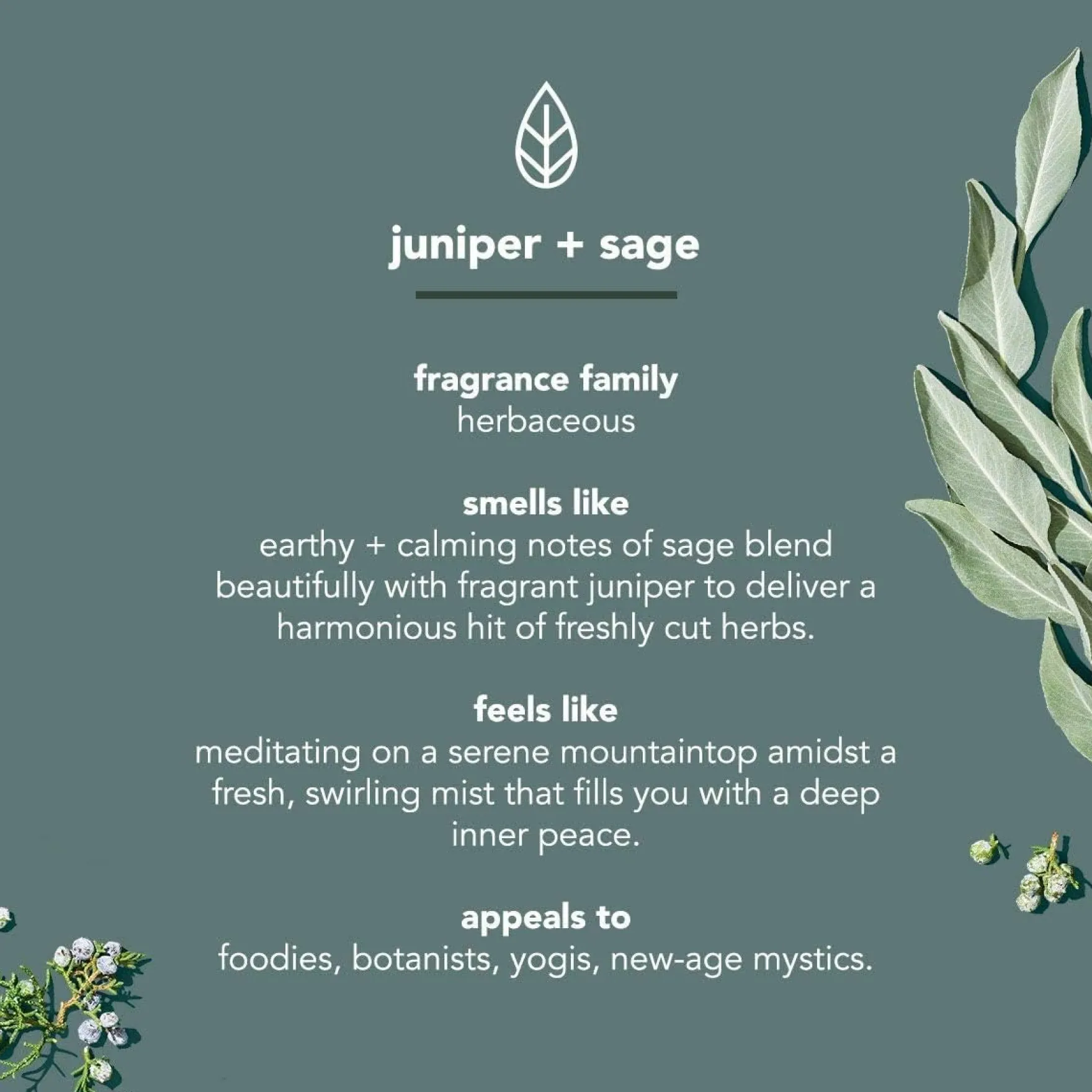 Body Wash Juniper + Sage