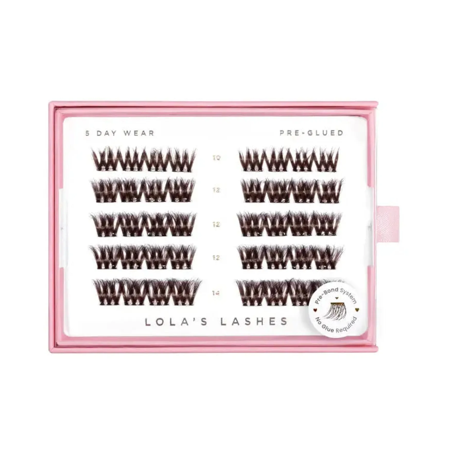Bold Definition Dark Brown Pre-Glued Lashes