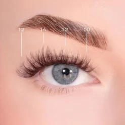 Bold Definition Dark Brown Pre-Glued Lashes