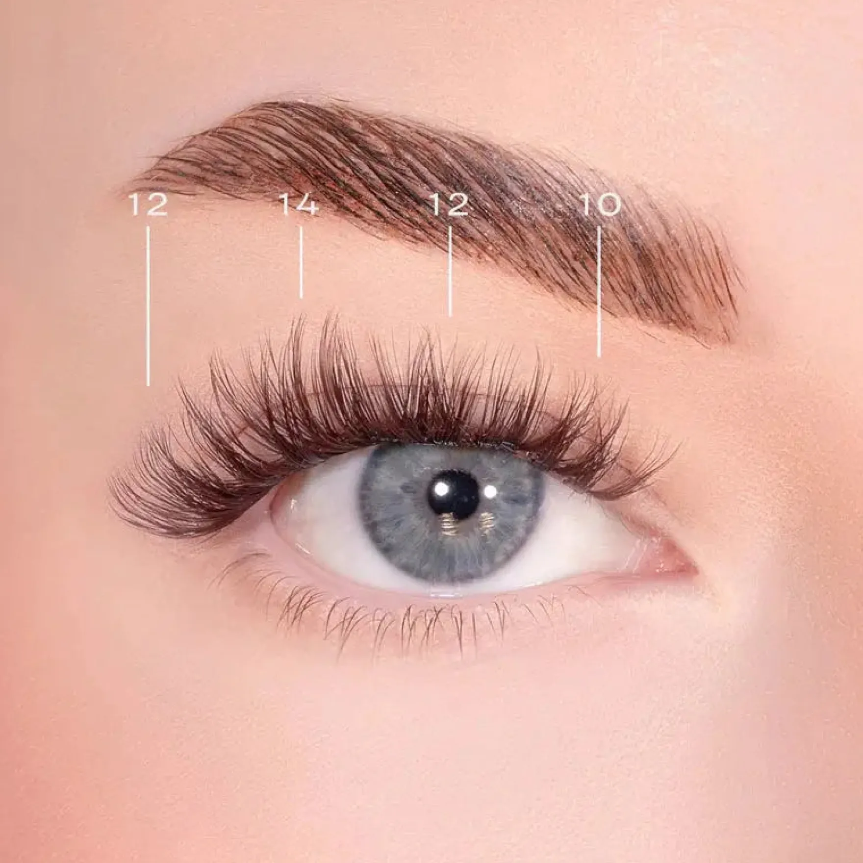 Bold Definition Dark Brown Pre-Glued Lashes