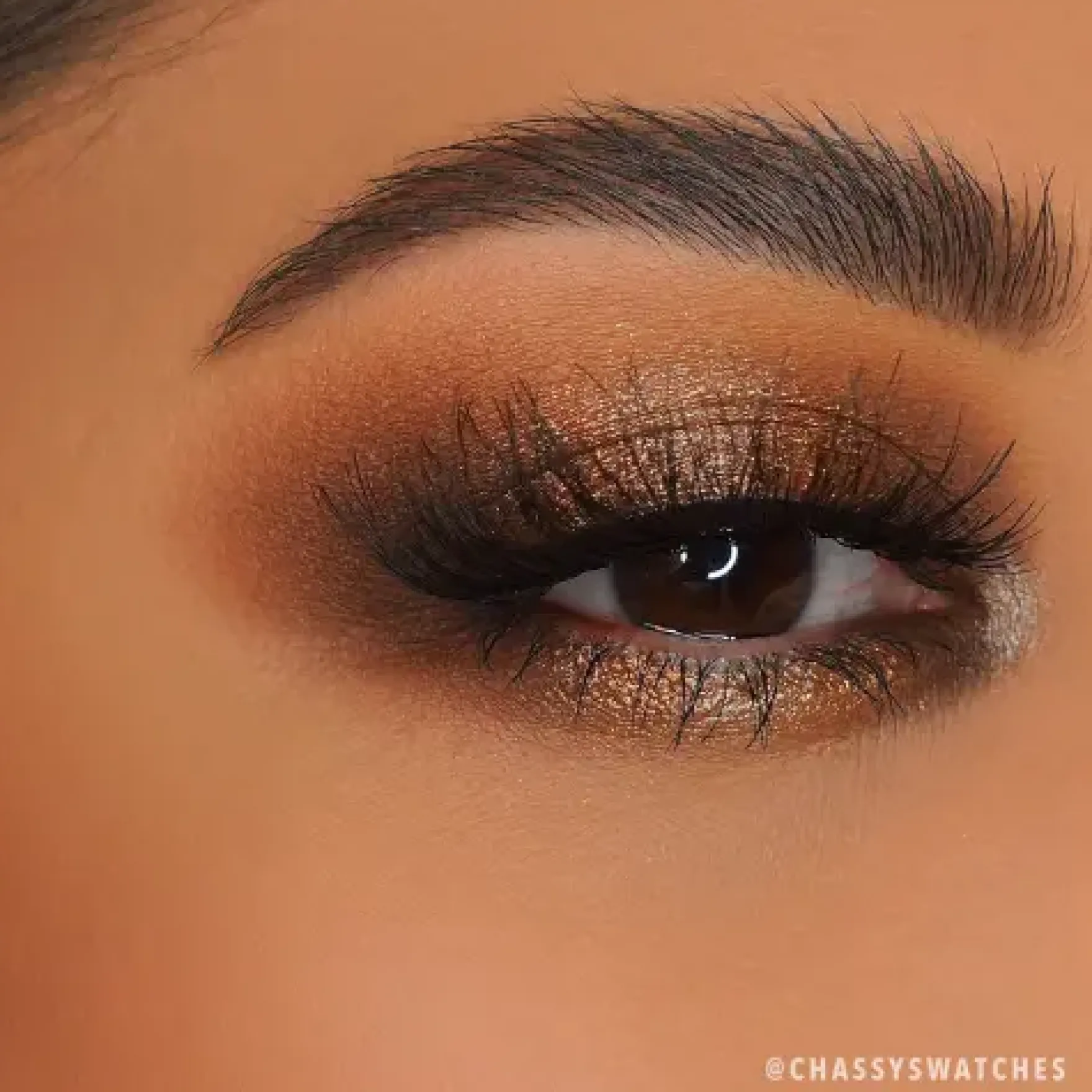 Chasing Eternity Pressed Pigment Palette
