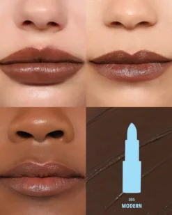 Chic Satin Lipstick 005 Modern