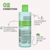 Coil Rejoicing Leave In Conditioner