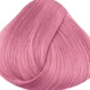 Color #Pastel Rose