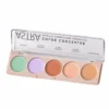 Color Concealer Camouflage