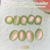 Colored Cat Magnetic Gel Fruit Basket MY278 Guava