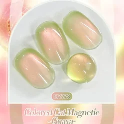 Colored Cat Magnetic Gel Fruit Basket MY278 Guava
