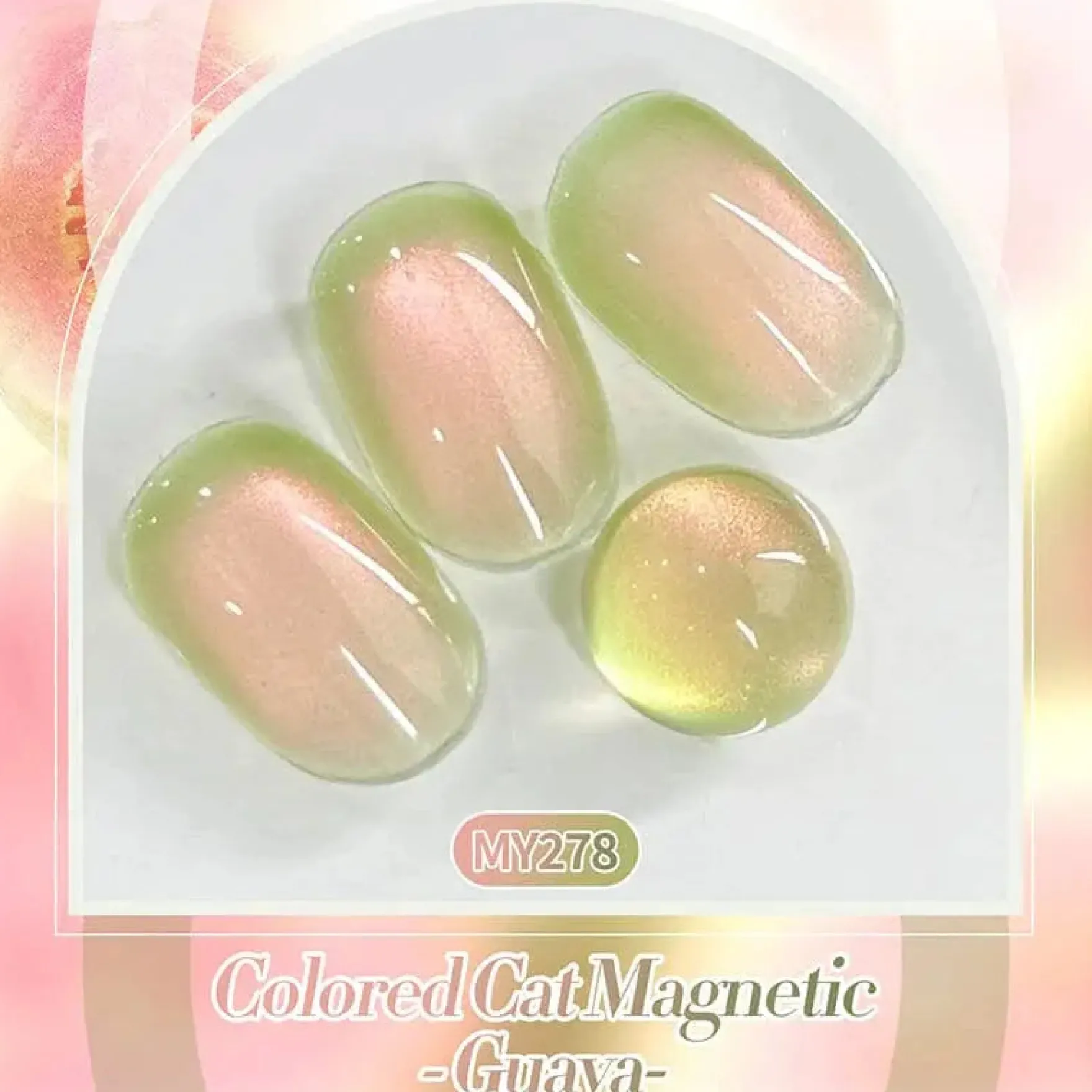 Colored Cat Magnetic Gel Fruit Basket MY278 Guava