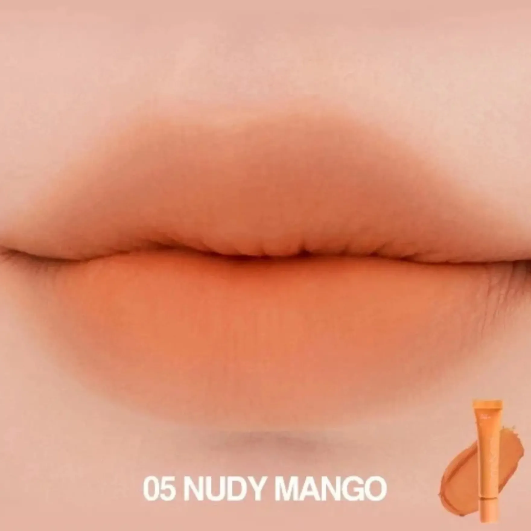 Color Lip Matte 05 Nudy Mango