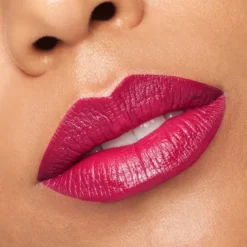 Color Riche Satin Lipstick 2010 La Prune