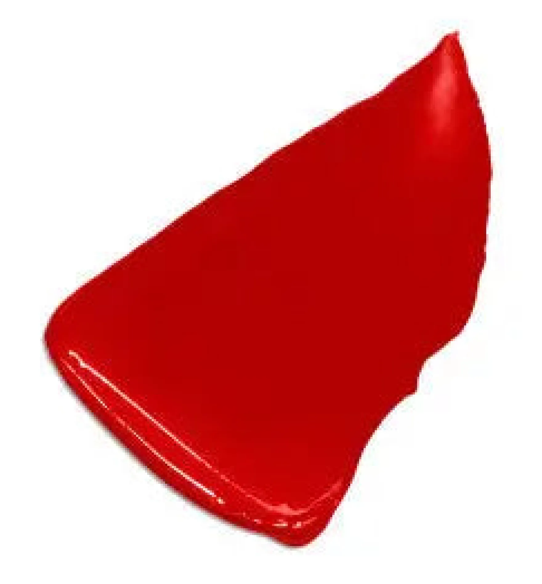 Color Riche Satin Lipstick 300 Le Rouge Paris