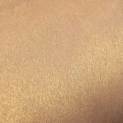 Colour Powder 08 Pearl Gold