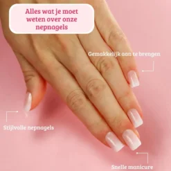 Complete Press On French Nails Set Ombre Soft Pink