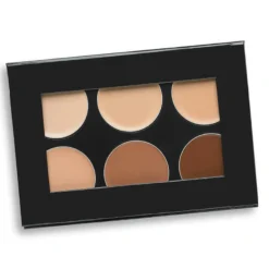 Conceal-it 6 Color Palette