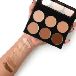 Conceal-it 6 Color Palette