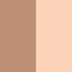 Contouring Duo Stick 10 Fair
