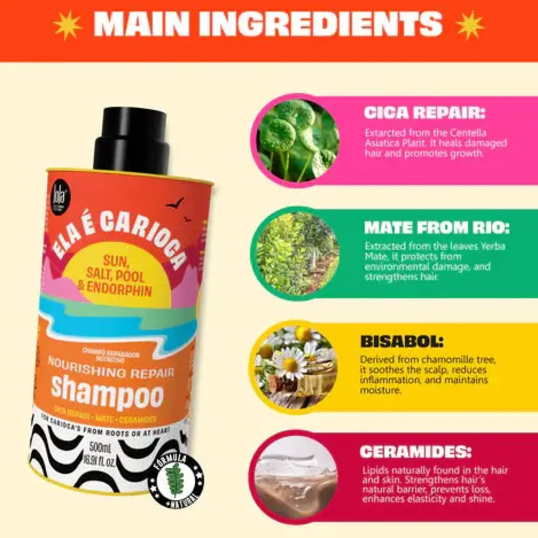 Cosmetics Ela E Carioca Shampoo