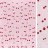 3D Embossed Nail Art Sticker Cherry Crush