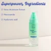 Dewy Bounce Seal & Set Mist