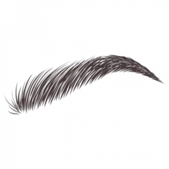 Dybrow Black