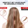 Elvive Bond Repair Sulfaatvrije Shampoo
