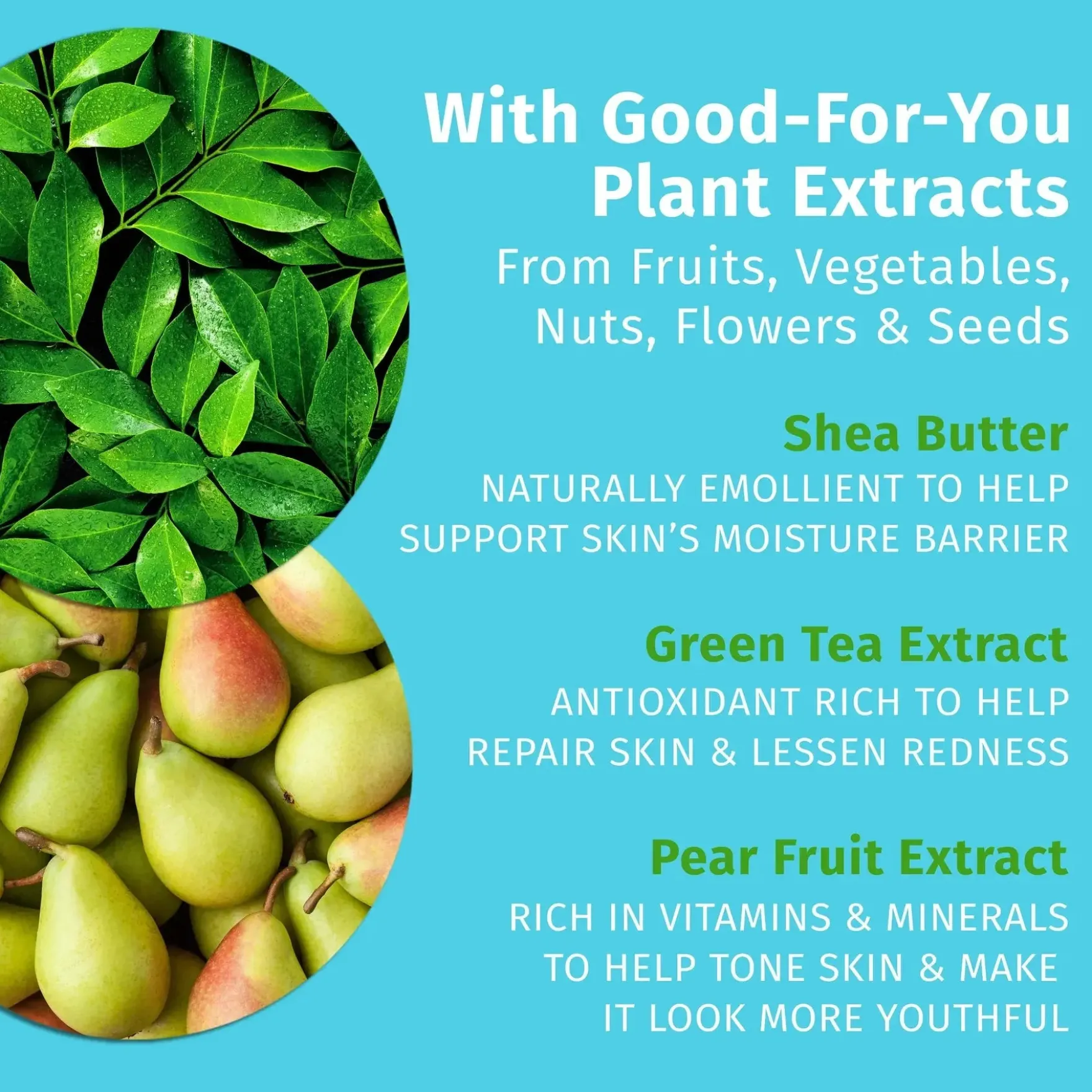 Exotic Green Tea & Asian Pear Herbal Body Moisturizer