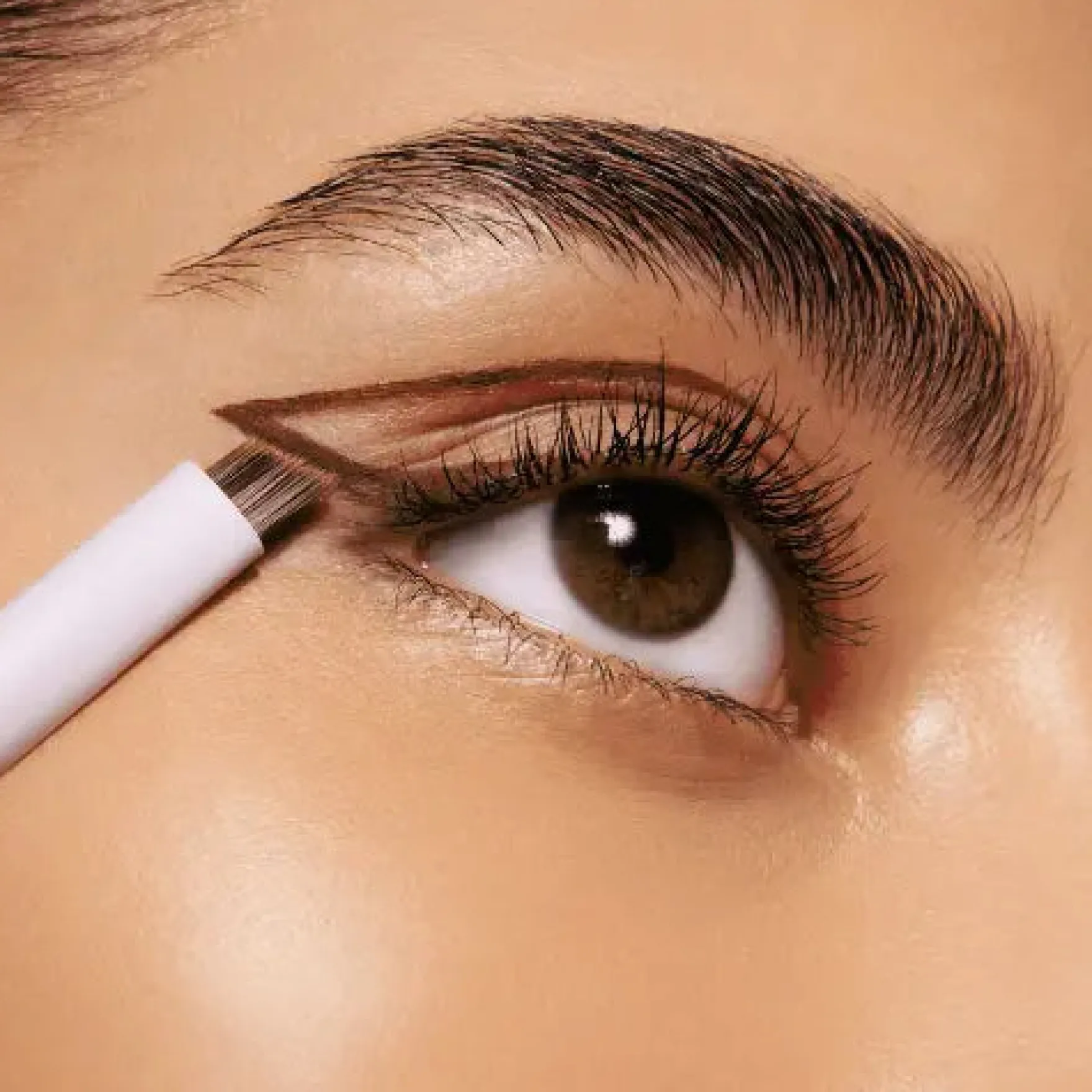 Eyeliner Brush 01 Just Wing it